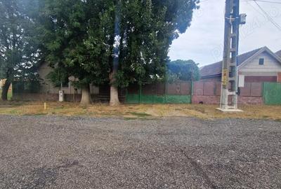 Vand casa ?i teren (2158 mp)Mo?ni?a Veche - 6