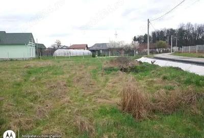 Teren de 844 mp, în Lăpuș - 4