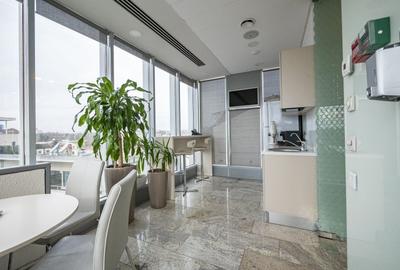 Birou, de 209 mp, în Herăstrău - 1