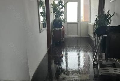 Casa individuala, 9.65 ari teren, zona Profi Sfantu Ilie - 4