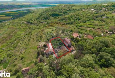 Casă cu 4 camere cu Teren 1425 Mp în Podgoria - 13