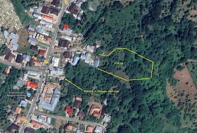Teren de 5524 mp, în Poiana - 3