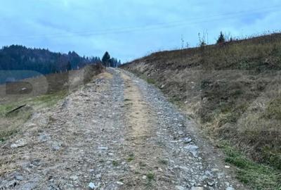 Teren de 2500 mp, în Colibița - 6