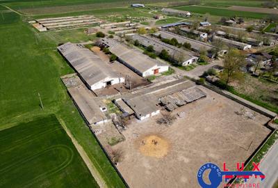 Teren agricol intravilan de 11532 mp, în Mihail Kogălniceanu - 1