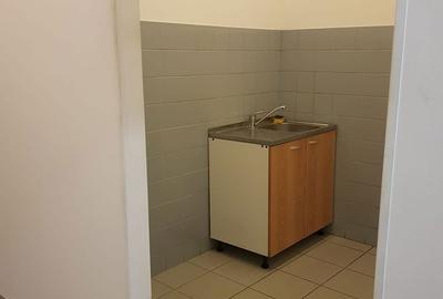 Spațiu comercial, de 164 mp, în Central - 13