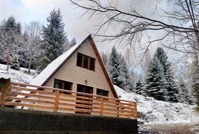 Casă cu 2 camere în Brădățel - 3