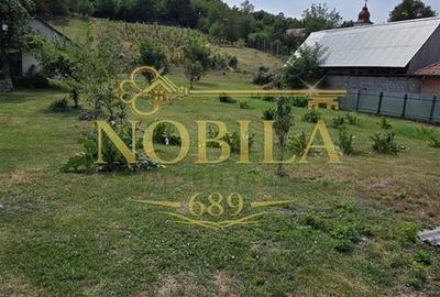 Teren de 10537 mp, în Bogdănești - 8
