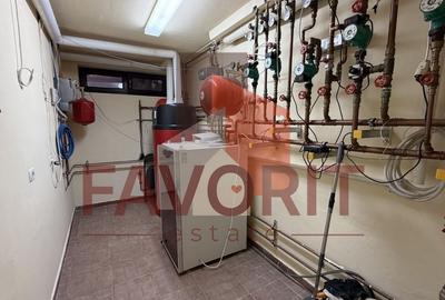 COMISION 0%. Casa individuala in centrul Dumbravitei. Oportunitate imobiliara - 16