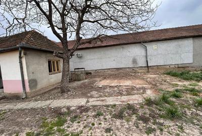 Casă cu 4 camere în Băile 1 Mai - 7