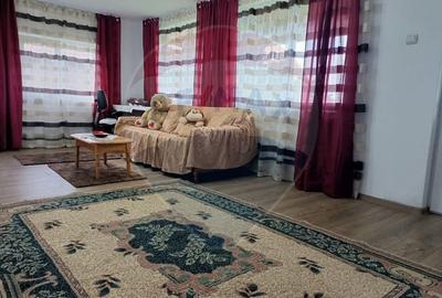 Vanzare casa la munte - zona turistica - Baia de Fier - 7