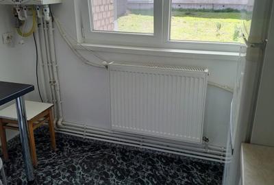 Apartament cu 2 camere decomandat în Gojdu - 5