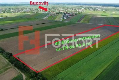 COMISION 0% Teren intravilan 40.600 mp cu front de 84,5 ml, zona Bucovat - 1
