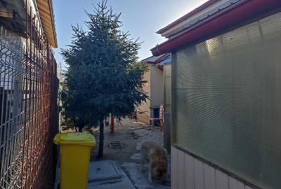 Casă cu 2 camere în Central - 3