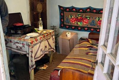 Casa batraneasca pe un singur nivel , 1700 mp teren, Bradest - 3