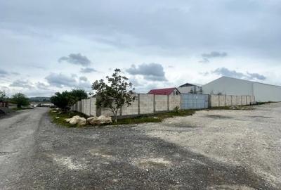 Teren Construcții intravilan de 1500 mp, în Lumina - 5