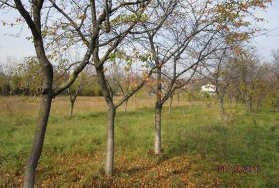 Teren de 4860 mp, în Exterior Vest