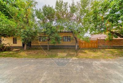 Casa cu 4 camere si teren 540 m in Pecica - Zona excelenta - 2