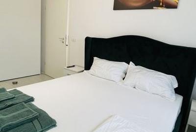 Braytim-Timisoara | 2 camere | Loc de parcare | Pet Friendly - 12