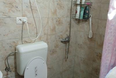 Casa vanzare seleus - 3