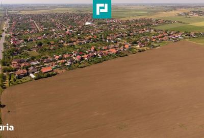 Teren de 28500 mp, în Șofronea - 4