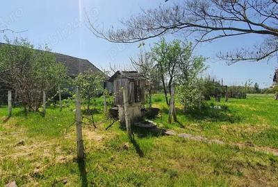 Casă cu 4 camere în Sânpetru Mare - 8