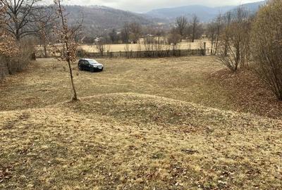 Teren de 3000 mp, în Exterior Vest - 5