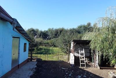 Casă de vânzare - 6