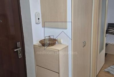 Vanzare Garsoniera Drumul Taberei - Brancusi - 10