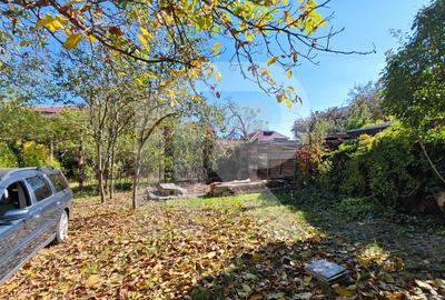 Vila Gabriela Otopeni - 25