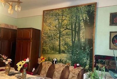 Casă cu 2 camere cu Teren 250 Mp în Calea Aradului - 8