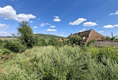 Teren de 3500 mp, în Sângeorzu Nou - 8