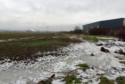 Ora? Pope?ti-Leordeni, teren, zona industriala cu utilitati! - 3