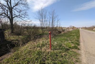 Teren intravilan Balint 22.500 mp - 9