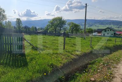 Teren intravilan + extravilan de vanzare, 1480 mp, zona Neag - 1