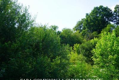 Casă cu 4 camere cu Teren 1730 Mp în Mihăești - 18