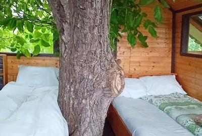 Casă cu 3 camere în Pietrari - 5