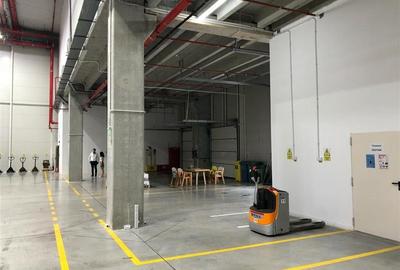 Inchiriere depozit/hala/spatiu industrial Mogosoaia - Centura, Ilfov - 8