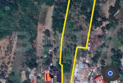 Teren de 9066 mp, în Aninoasa - 4