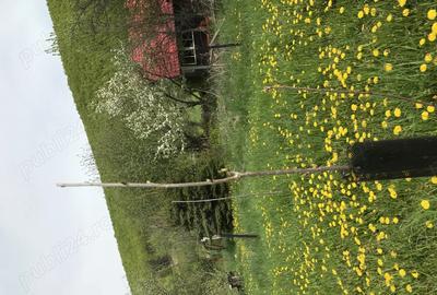 Casa de vacanta in zona deosebita- Ozun - 4