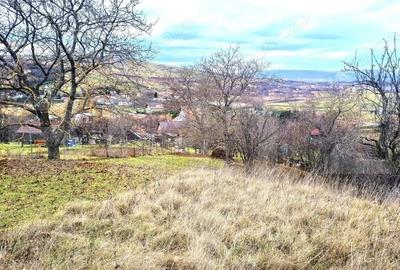 Teren de 857 mp, în Sopor - 3