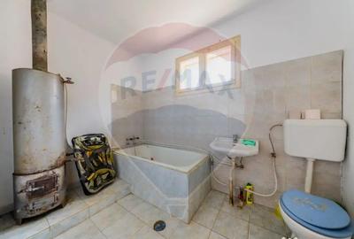 Casă cu 2 camere cu Teren 4500 Mp în Cărand - 10