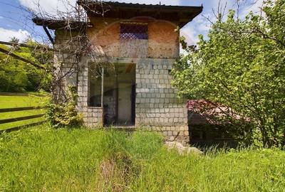 Comision 0%! Proprietate in natura, priveliste superba, Sita Buzaului - 6
