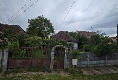 Casa de vanzare - Strada Lucian Blaga