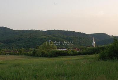 Casă cu 3 camere cu Teren 609 Mp în Uileacu de Beiuș - 11