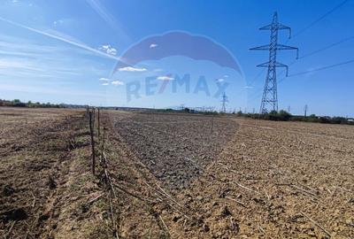 Teren 3187 mp intravilan de vanzare Oradea Nufarul zona Petru Maior - 5