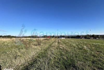 Spațiu comercial, în Cetariu - 2