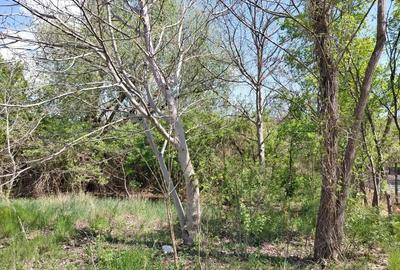 Teren de 3250 mp, în Central - 4