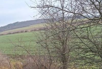 Teren de 18800 mp, în Deleni - 9