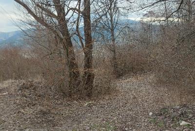 Teren intravilan la drumul na?ional comuna Hangu, Neamt, 5000mp - 4