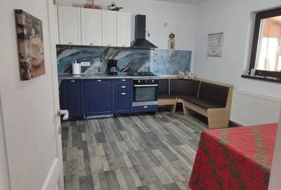 Vand casa plan parter plus mansarda - 1